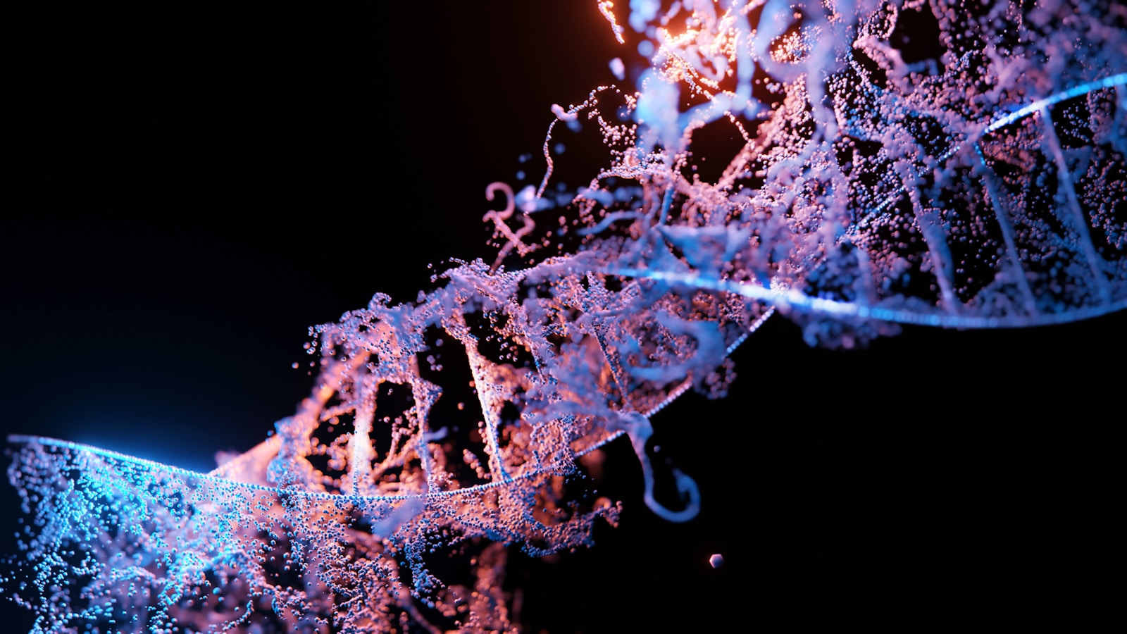 1782236462-4850-8349-lxb_photo8o_LkMpo8uglxb_photo-